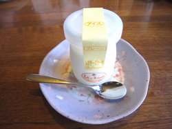 プレーンのフローズンヨーグルト_1.jpg