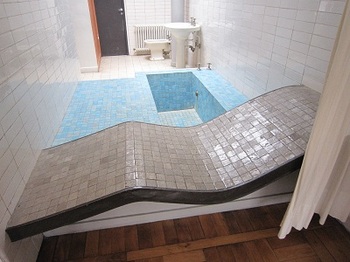 savoye 8.jpg